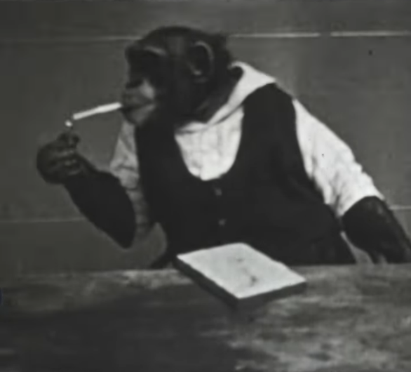 [ Smoking Monkey ]